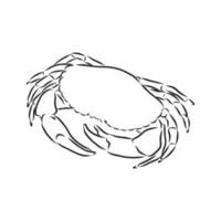 croquis de vecteur de crabe