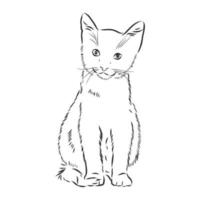 croquis de vecteur de chat