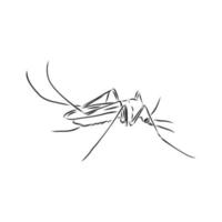 croquis de vecteur de moustique