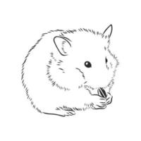 croquis de vecteur de hamster