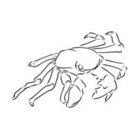 croquis de vecteur de crabe