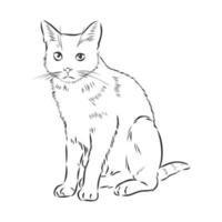 croquis de vecteur de chat