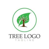 arbre logo icône vector illustration design.vector silhouette d'un arbre modèles de logo arbre et racines arbre de vie illustration de conception