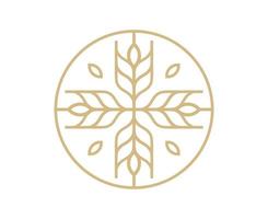 blé herbe grain logo vecteur symbole icône modèle de conception