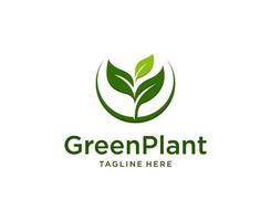 vecteur de conception de logo de feuille verte. logo de plante verte, semis de feuilles vertes, plante en croissance