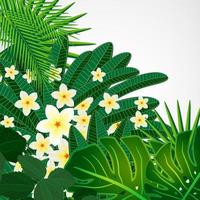 fond de conception florale eps10. fleurs de plumeria et feuilles tropicales. vecteur