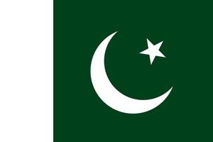 illustration plate du drapeau du pakistan vecteur