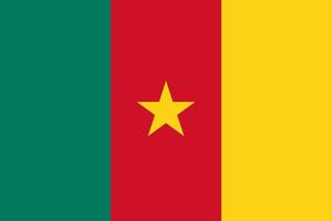 illustration plate du drapeau du cameroun vecteur