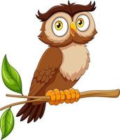 hibou drôle de dessin animé sur une branche d'arbre vecteur