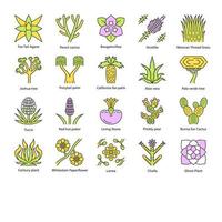 ensemble d'icônes de couleur de plantes du désert. flore exotique. cactus du désert de californie, herbe et arbres. succulentes américaines et mexicaines, palmiers. illustrations vectorielles isolées vecteur