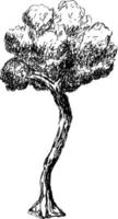 dessin d'esquisse d'un arbre. vecteur