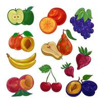 illustration vectorielle fruits pittoresques sur fond blanc isolé vecteur