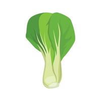 vecteur plat de bok choy isolé sur fond blanc. icône graphique illustration plate