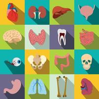 icônes plates des organes internes vecteur