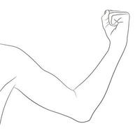 biceps féminin, bien tonique. bras plié au coude montrant des progrès après la remise en forme. illustration vectorielle, contour noir et blanc. concept d'infographie de sport femme. vecteur