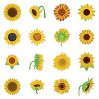 fleur de tournesol icônes définies vecteur isolé