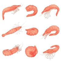 jeu d'icônes de crevettes, style cartoon vecteur