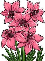 amaryllis fleur dessin coloré clipart vecteur