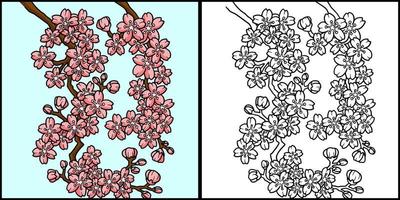 fleur de cerisier coloriage illustration colorée vecteur