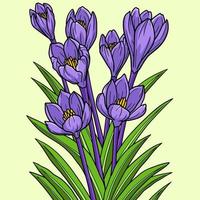 illustration de dessin animé de couleur fleur de crocus vecteur