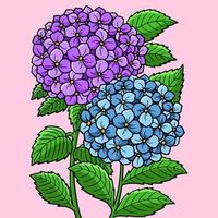 illustration de dessin animé coloré de fleur d'hortensia vecteur
