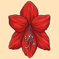 illustration de dessin animé couleur fleur amaryllis vecteur