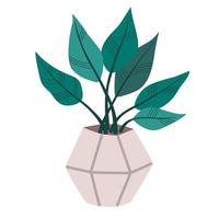 plante d'intérieur en pot. plante d'intérieur à feuillage poussant dans un pot de fleurs. décoration de feuille verte pour l'intérieur de la maison. décor intérieur naturel. main dessiner illustration vectorielle isolée sur fond blanc vecteur