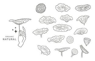 contour de fleur de lotus noir.illustration vectorielle pour icône, autocollant, imprimable et tatouage vecteur
