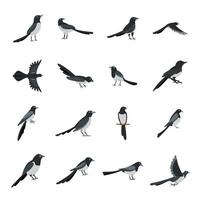 pie corbeau oiseau icônes définies style plat