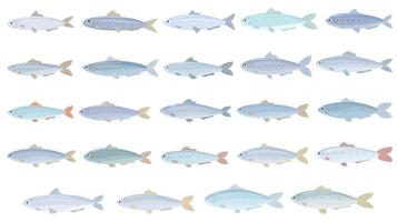 les icônes de sardine définissent le vecteur de dessin animé. peut pêcher