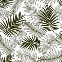 feuilles de palmier. modèle sans couture tropical. convient aux tissus, emballages et couvertures. fond blanc. conception de vecteur. vecteur