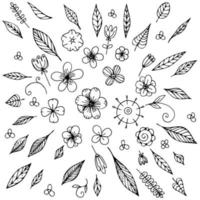 doodle feuilles et fleurs dessinées à la main, éléments de ligne pour la page de coloriage. grand ensemble vectoriel d'un bouquet de fleurs. branches, pétales, plantes à fleurs et autres. noir et blanc