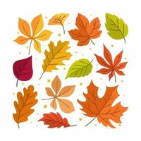mise en page créative de l'icône des feuilles d'automne vecteur