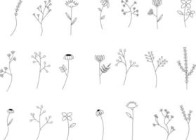 ensemble de fleurs d'été. illustration de doodle noir et blanc isolée sur fond blanc. définir des griffonnages d'illustration de plantes et de fleurs vecteur