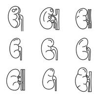 ensemble d'icônes d'organes rénaux, style de contour vecteur