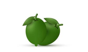 icône de citron vert frais réaliste 3d unique isolée sur vecteur
