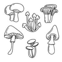 illustration vectorielle de champignon dessinés à la main. collection de champignons dans un style doodle. aliments biologiques frais isolés sur blanc. vecteur