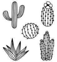 ensemble de cactus isolés dessinés à la main. icônes vectorielles de cactus doodle. contour succulentes illustration clipart vecteur
