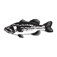 style de dessin de ligne de poisson bass sur fond blanc. élément de conception pour le logo d'icône, l'étiquette, l'emblème, le signe et l'illustration vectorielle de la marque. vecteur