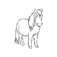 croquis de vecteur de cheval