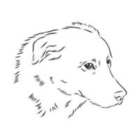 croquis de vecteur de chien