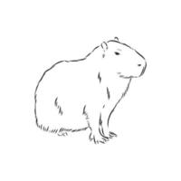 croquis de vecteur de capybara