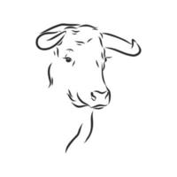 croquis de vecteur de vache taureau