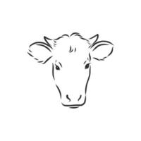 croquis de vecteur de vache taureau