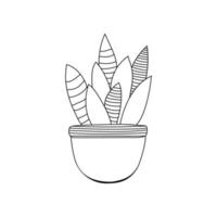 cactus d'intérieur en pot. plante d'intérieur décorative de cactus dans des pots vecteur
