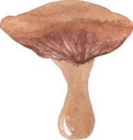 champignon aquarelle avec vecteur de capuchon ondulé isolé dessiné à la main