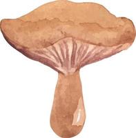 champignon aquarelle avec vecteur de capuchon ondulé isolé dessiné à la main