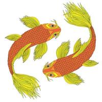 deux carpes japonaises dans le style des symboles feng shui. poissons colorés comme signe du zodiaque. illustration en couleur. vecteur