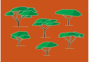 Acacia Tree Vectors