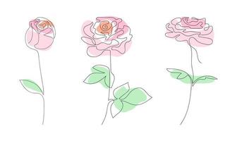 ensemble de roses dessinées sur une seule ligne avec des taches de couleur. éléments de design tendance. adapté aux cartes postales, dépliants, brochures. vecteur